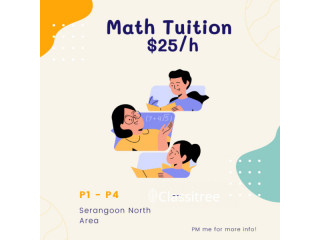 Serangoon North Primary Math Tuition
