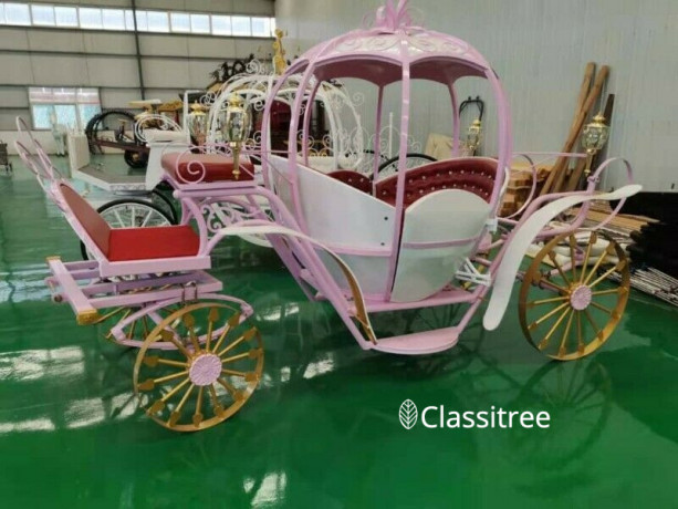 wedding-carriage-for-rental-big-0