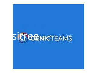 Field Service Management Software Genic Teams