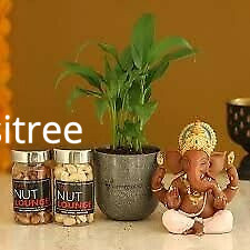 buy-rakhi-delivery-in-mumbai-from-myflowertree-big-0