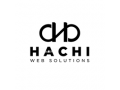Web Design Service in Singapore Hachi Web Solutions