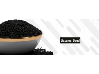 Sesam Seeds Suppliers in Singapore Tirupati Brokers
