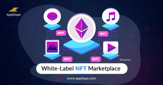 obtain-the-best-whitelabel-nft-marketplace-solution-appdupe-big-0