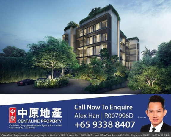for-sale-tanglin-orchard-jervois-prive-freehold-condo-apartm-big-0