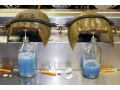 horseshoe-crab-blood-and-limulus-amebocyte-lystae-lal-produc-small-0