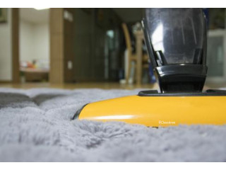 Looking for Carpet Cleaning for Office or Residential
