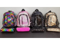 Children Multi Color Sequin Backpack comes with a pencil Cas
