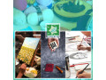 Enroll your children in Art Craft Workshops in Singapore