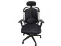 New Euro Duo Back Ergo comfortable chair