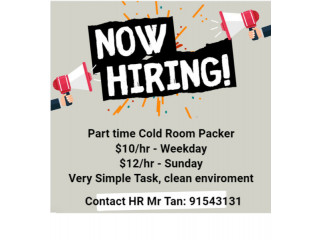  Hr PT cold room packer very simple job 