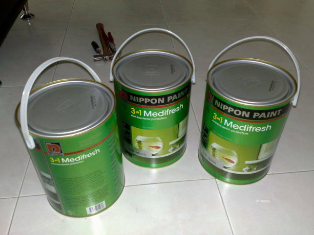 pro-house-painting-spring-clean-wall-paper-floor-polishes-etc-big-0