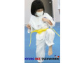 Kyunghee Taekwondo Learn the beautiful form of art
