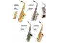 ELKA DESFION Alto Saxophone for sale at only
