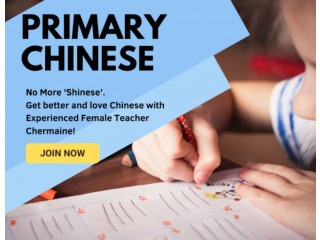 Online Chinese Class for Primary Students Experienced Singap