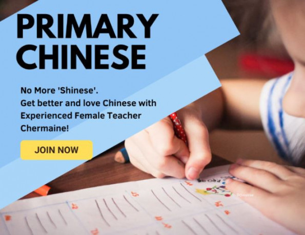online-chinese-class-for-primary-students-experienced-singap-big-0