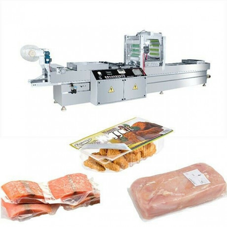 thermoforming-vacuum-packaging-machine-a-wide-range-of-produ-big-0