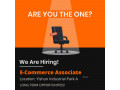 e-commerce-associate-month-full-time-small-0