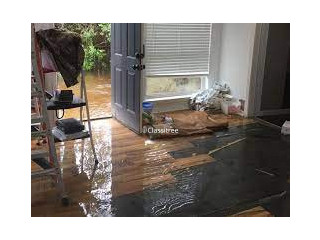 Everything You Need To Know About A Water Damage Restoration