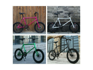 REE DELIVERY Inch Bicycle Mini Velo Black Green Pink Lightwe