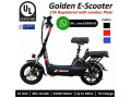 Golden Electric Scooter UL LTA Registration 