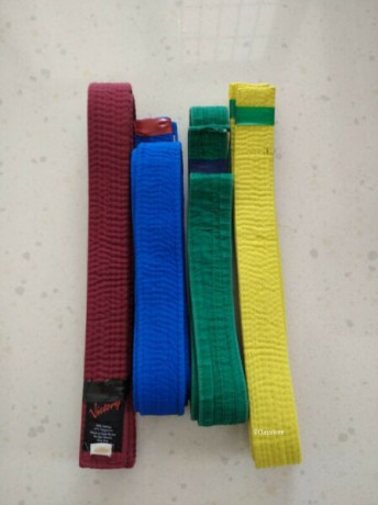 tae-kwon-do-belts-self-collect-at-jalan-punal-near-eunos-lin-big-0