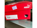 Puma Ferrari casual shoes for sale Brand new