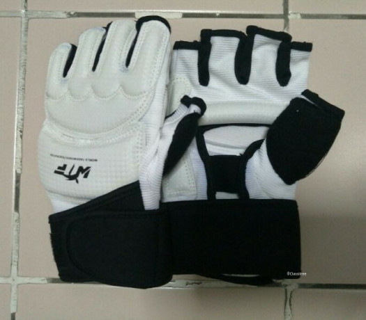 taewondo-glove-high-quality-design-big-0
