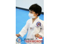 Kyunghee Taekwondo Foundation Its time to pick up Taekwondo 