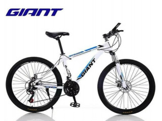 Giant ATX Bicycle Speed Shimano Gear Brand new Mountain bi