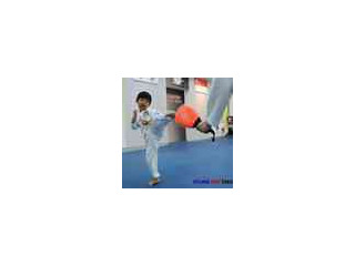 Kyunghee Taekwondo Learn and master Taekwondo