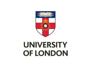 UOL EBIZ Tuition by Experienced UOL First Class Honours Grad