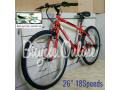 adult-bicycles-from-brand-new-small-0