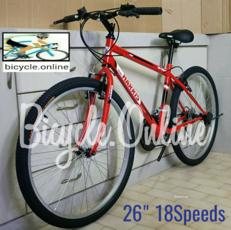 adult-bicycles-from-brand-new-big-0