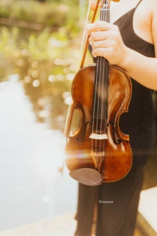 violin-lessons-cello-lessons-viola-lessons-all-locations-al-big-1
