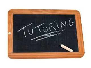 Affordable graduate tutor for all levels