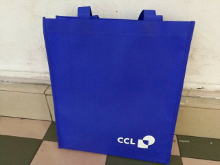 Cheap Non Woven Bag Printing First time customers enjoy off