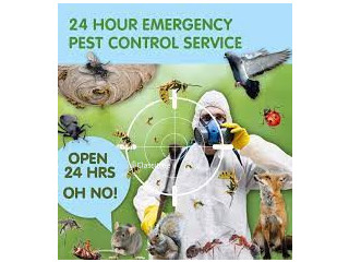  HOURS PEST CONTROL contact 