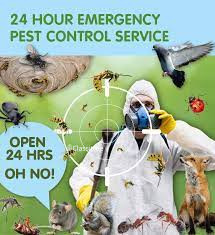 hours-pest-control-contact-big-0