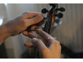 Violin viola cello strings re string service