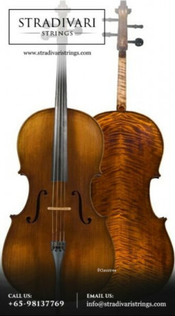 repair-and-restoration-of-violin-viola-cello-and-double-bass-big-0