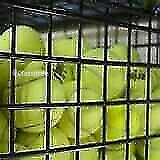 assorted-premium-brands-pre-owned-tennis-balls-for-sale-as-big-0