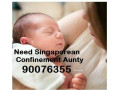 many-good-reliable-confinement-nanny-is-ready-to-care-for-u-small-0