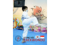 kyunghee-taekwondo-the-art-of-taekwondo-small-0