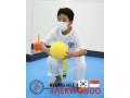 kyunghee-taekwondo-the-art-of-taekwondo-small-1