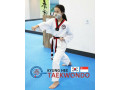 kyunghee-taekwondo-learning-taekwondo-foundation-small-0