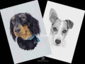 I draw beautiful portraits of your pets contact me