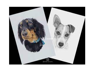I draw beautiful portraits of your pets contact me