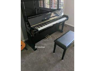Piano Lesson Experienced pianistteacher over years freelanc