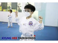 Kyunghee Taekwondo Technique Foundation