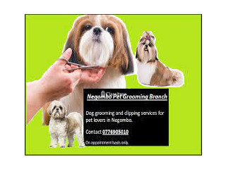 Affordable Pet Grooming Services Admiralty